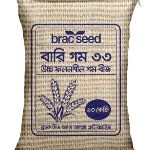 গম বীজ