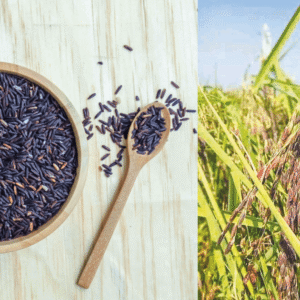 Black Rice (ব্ল্যাক রাইস)