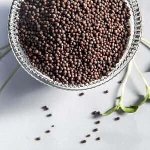 রাই সরিষা