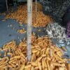 Maize