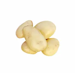 বারি আলু - ৬২