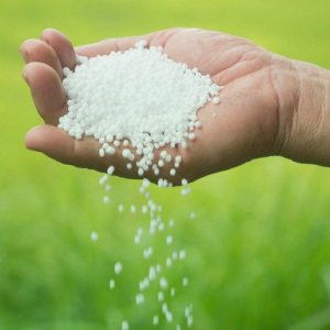 Fertilizer/ সার