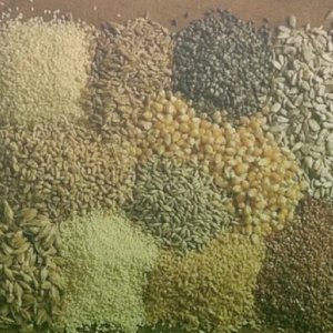 Grains/ শস্য