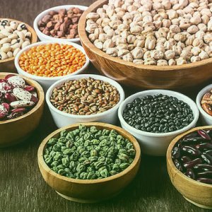 Seeds / বীজ